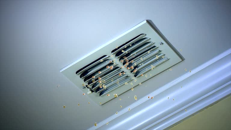 Best Residential Air Duct Cleaning  in Mauston, WI