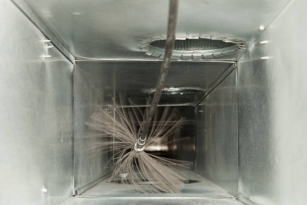 Best HVAC System Cleaning  in Mauston, WI